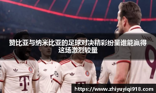 赞比亚与纳米比亚的足球对决精彩纷呈谁能赢得这场激烈较量